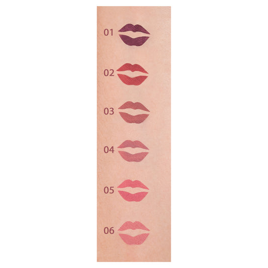 Labial Liquido Matte Ushas